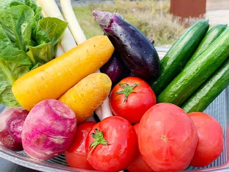 中部発 日帰り 春いっぱいココロ踊る♪新鮮野菜の食べ放題&詰め放題!茶臼山高原芝桜と天竜峡そらさんぽ!3